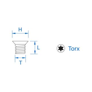 Spur Tip Fixing Screw M5 x 10 T20 - 1pc 