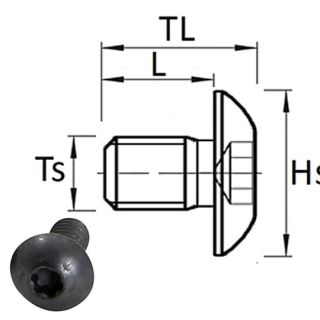 Titman M4 x 6mm Dome Head Torx Screw supplied by Appleby Woodturnings